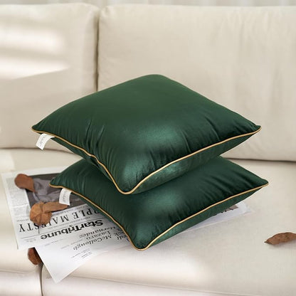 Aeckself Pack of 2 Green Velvet Pillow Covers 20 x 20 Inch, Modern Luxury Decorative Pillowcase with Gold Trim Edge, Comfortable Soft Solid Cushion Case for Couch Bedroom Living Room