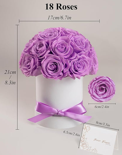 Preserved Roses Dome in a Box, Forever Real Roses Decor, Eternal Flowers for Delivery Prime, Best Gifts Birthday, Wedding, Anniversary, Mother's Day, Christmas for Her, 18-Pieces (Light Purple)