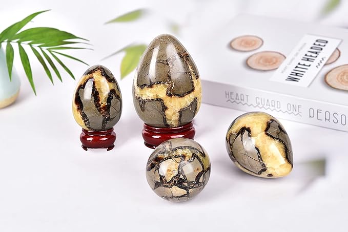 AMOYSTONE Natural Septarium Quartz Crystal Egg with Base for Healing Reiki Single 2.5-3", for Healing Reiki Witchcraft Meditation