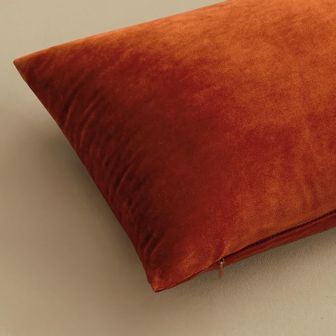 MIULEE Velvet Throw Pillow Covers 22x22 Inch, Pack of 2 - Burnt Orange, Soft Solid Decorative Pillow Covers Cushion Cases Modern Luxury Home Decor for Couch Sofa Bedroom Livingroom