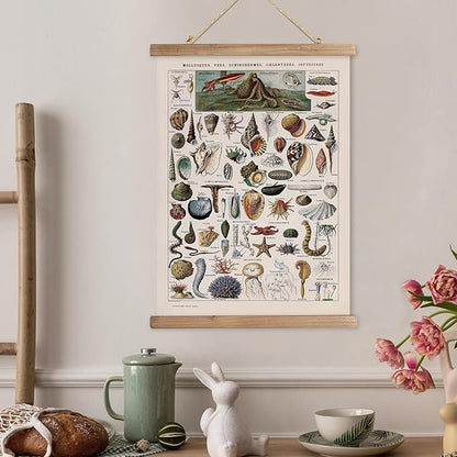 XIAOAIKA Vintage Zoology Poster - Illustrated Invertebrates and Marine Life Chart with Wooden Frame - Educational Biology Wall Art for Science Classrooms and Nature Enthusiasts 16 x 23 inches