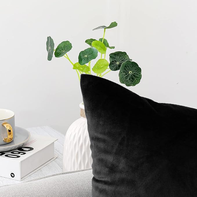 NiNi ALL Decorative Throw Pillow Covers Pack of 2 Velvet Throw Pillow Cases for Couch Sofa Bed Car Office Pillows Cover Bedroom Living Room Outdoor Black Pillow Covers 30x30 Inch