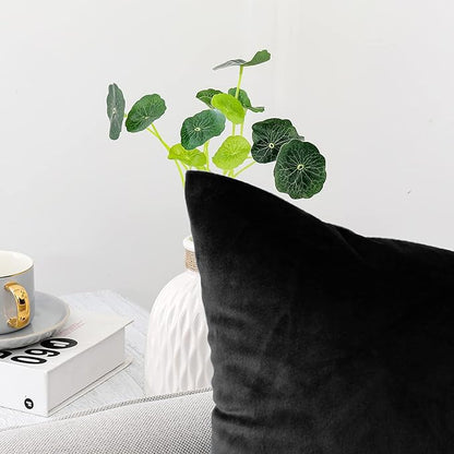 NiNi ALL Decorative Throw Pillow Covers Pack of 2 Velvet Throw Pillow Cases for Couch Sofa Bed Car Office Pillows Cover Bedroom Living Room Outdoor Black Pillow Covers 30x30 Inch