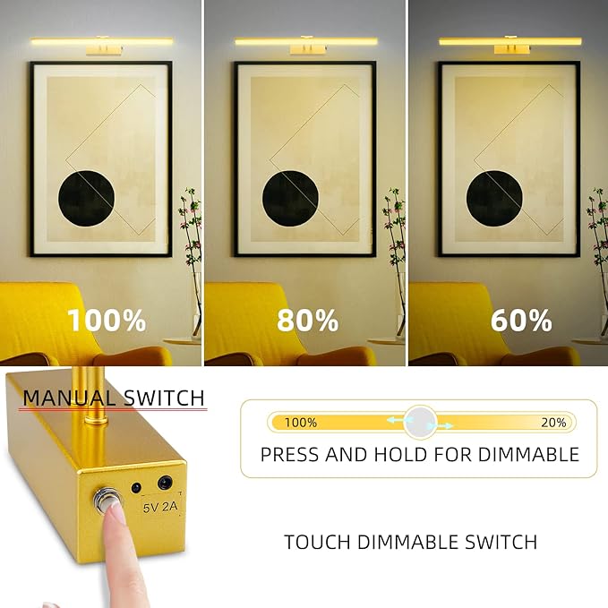 FUNCHDAY Picture Light,Battery Art Lights for Wall,Wireless Remote Painting Light with Timer and Dimmable,20”Metal Display Lighting for Artwork,Portrait,Gallery-Gold