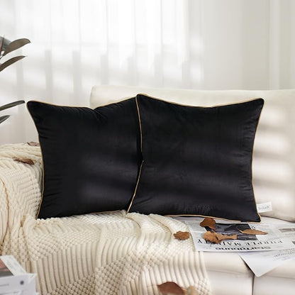 Aeckself Pack of 2 Pure Black Velvet Pillow Covers 24 x 24 Inch, Large Modern Luxury Decorative Pillowcase with Gold Trim Edge, Comfortable Soft Solid Cushion Case for Couch Bedroom Living Room