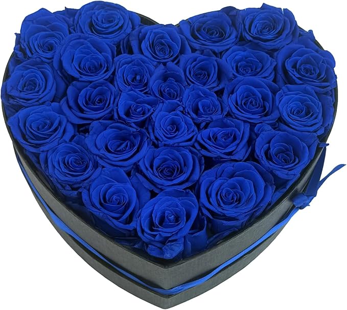 Preserved Roses Heart Shape Box Valentines Day Gifts for Her Mothers Day Forever Flowers (Blue, 27 Roses)