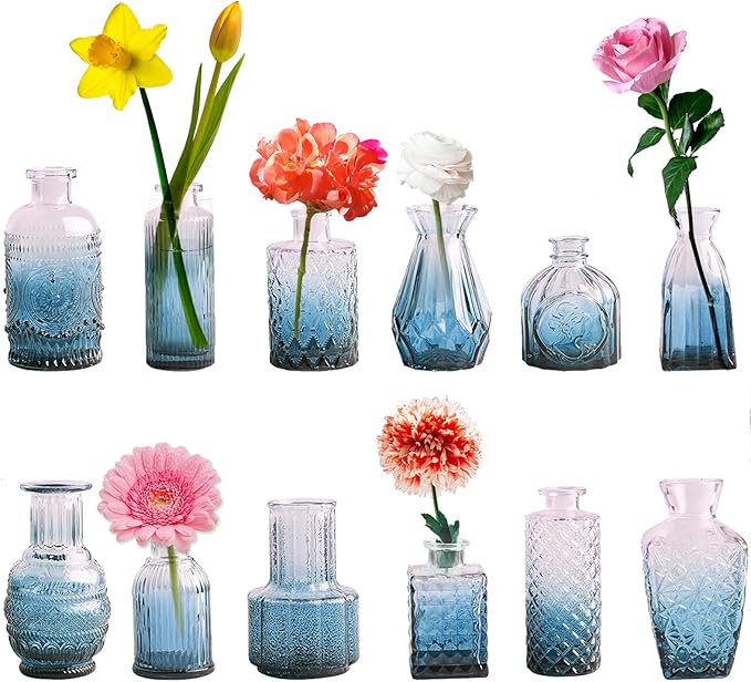 Glass Bud Vases Set of 12 Small Clear Blue Vases for Centerpieces Mini Glass Vases in Bulk Vintage Vases Assorted Tiny Flower Vase for Baby Shower Wedding Floral Arrangements Home Table Decorations
