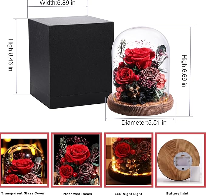 Lovenfold Flowers for Delivery Preserved Rose Gifts for Her,Long-Lasting Forever Flowers in Glass Dome,Birthday Gifts for Women Mom Wife Friend(Red Rose)