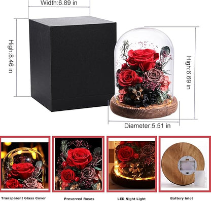 Lovenfold Flowers for Delivery Preserved Rose Gifts for Her,Long-Lasting Forever Flowers in Glass Dome,Birthday Gifts for Women Mom Wife Friend(Red Rose)