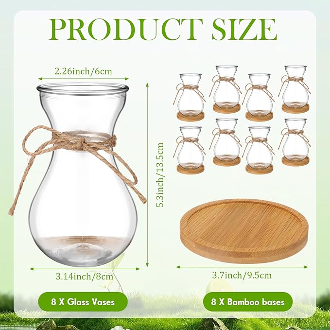 Bulb Glass Vases for Flowers Forcing Hyacinth Clear Decorative Bulb Vase with Round Bamboo Coaster for Home Office Table Decoration(8 Pcs)