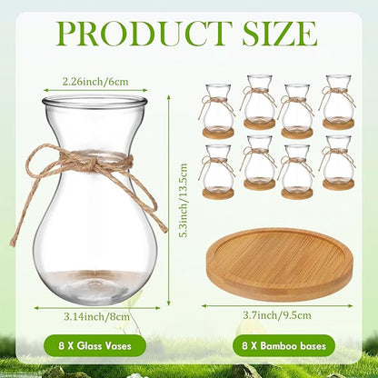 Bulb Glass Vases for Flowers Forcing Hyacinth Clear Decorative Bulb Vase with Round Bamboo Coaster for Home Office Table Decoration(8 Pcs)