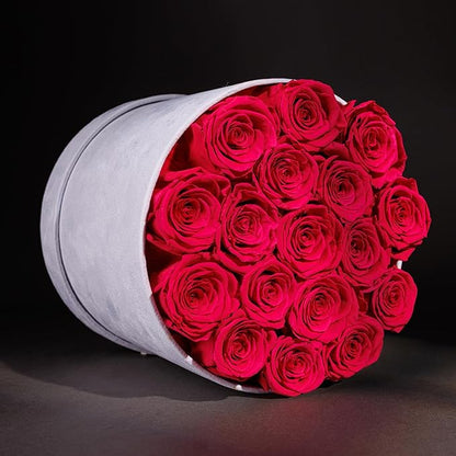 17 Flowers in a Luxury Suede Box, Birthday Gifts for Women, Preserved Flowers, Mothers Day Roses Gift for Mom, Hot Pink