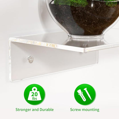 FEMELI 2 PCS 6" Acrylic Floating Shelves, Clear Shelf for Display, Plant, Perfume, Book in Bedroom Living Room Office, 5mm Thick Wall-Mounted Acrylic Shelves for Wall