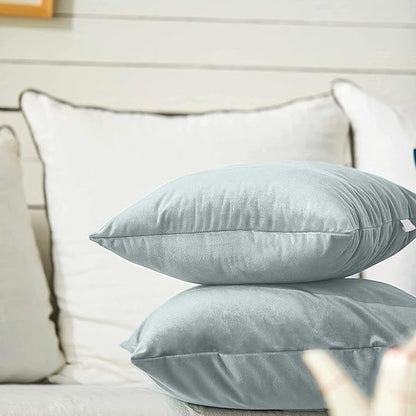 FY FIBER HOUSE Pack of 2 Velvet Throw Pillow Covers Decorative Square Pillowcase Soft Solid Cushion Case for Sofa/Couch Use, 18 x 18 Inch Light Grey