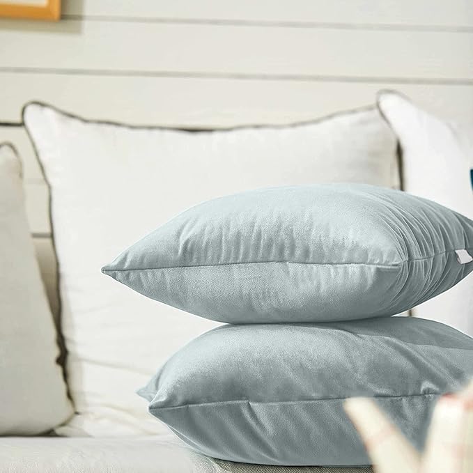 FY FIBER HOUSE Pack of 2 Velvet Throw Pillow Covers Decorative Square Pillowcase Soft Solid Cushion Case for Sofa/Couch Use, 20 x 20 Inch Light Grey