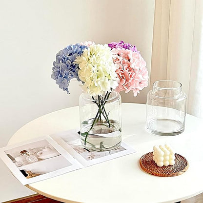 BLOFLO Clear Glass Vase, 9 Inch Large Glass Vase for Flowers, Modern Thick Glass Flower Vases for Centerpieces, Decorative Glass Cylinder Hydroponic Vase for Wedding, Home, Office (Clear, 9Inch)