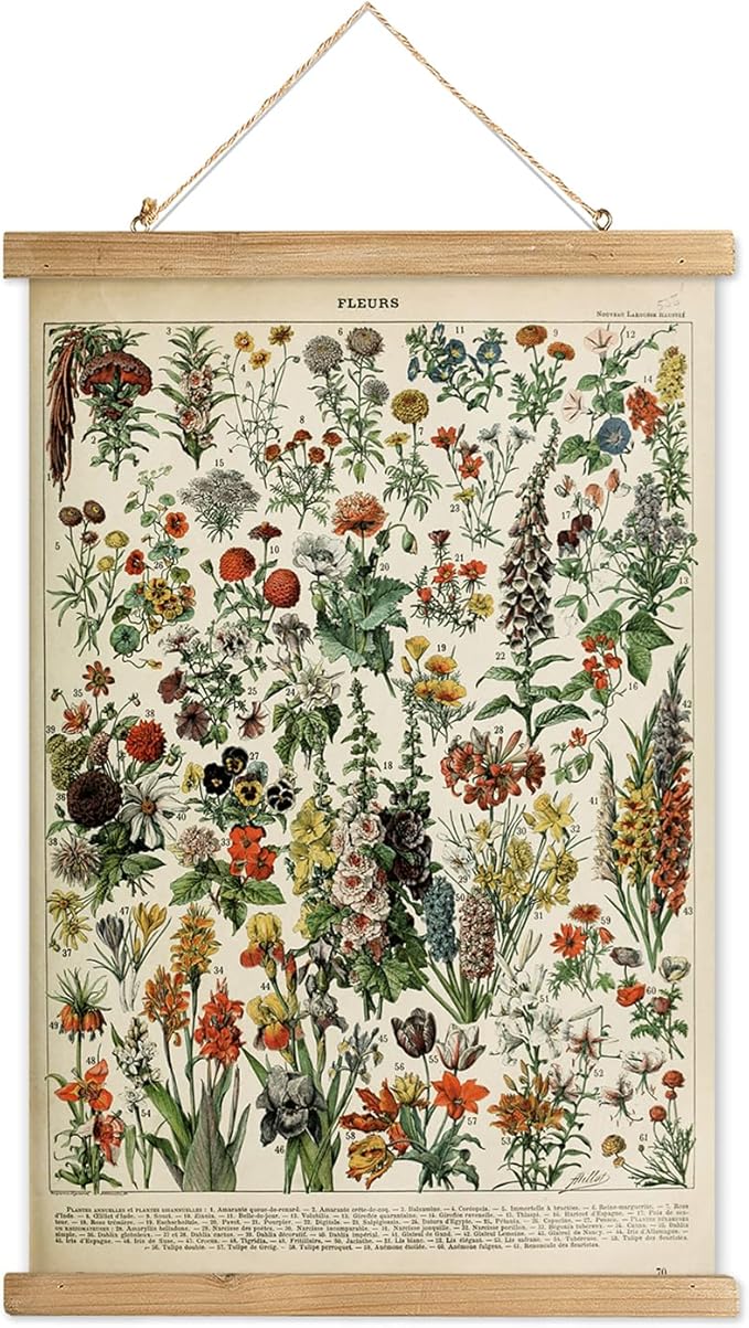XIAOAIKA Vintage Wildflower Hanging Poster with Wooden Frame, Retro Style Wall Decor Detailed Floral Illustration- Educational Botany Wall Art for Gardeners Home Decor Classroom 20 x 30 Inches