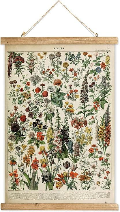 XIAOAIKA Vintage Wildflower Hanging Poster with Wooden Frame, Retro Style Wall Decor Detailed Floral Illustration- Educational Botany Wall Art for Gardeners Home Decor Classroom 12 x 16 Inches