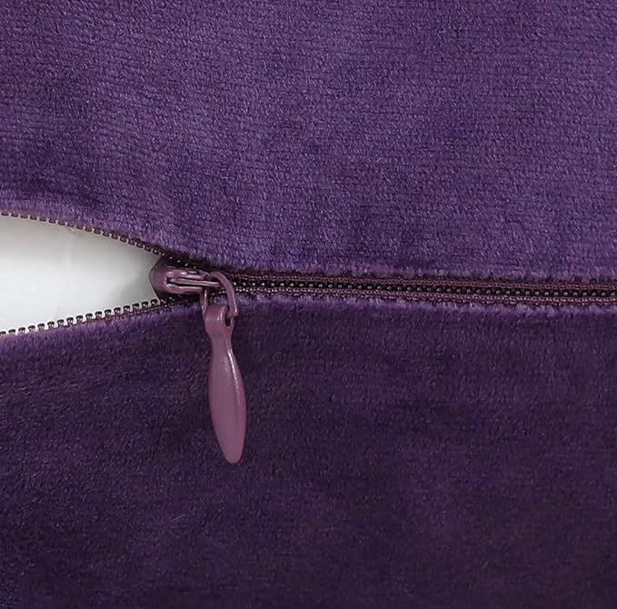 Jeneoo Comfy Soft Thick Velvet Throw Pillow Covers for Sofa Couch, Decorative Solid Square Cushion Cases for Bedroom Car (Eggplant Purple, 16 x 16 Inches, 2 Pieces)