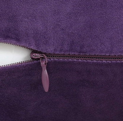 Jeneoo Comfy Soft Thick Velvet Throw Pillow Covers for Sofa Couch, Decorative Solid Square Cushion Cases for Bedroom Car (Eggplant Purple, 20 x 20 Inches, 2 Pieces)
