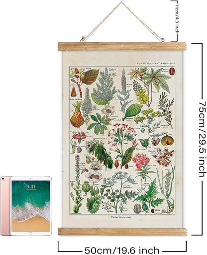 XIAOAIKA Vintage Botany Poster with Wooden Frame, Antique Poisonous Plants Chart - Botanical Educational Art with Dangerous Species - Retro-Style Wall Hanging for Home Classroom Decor 20 x 30 Inches