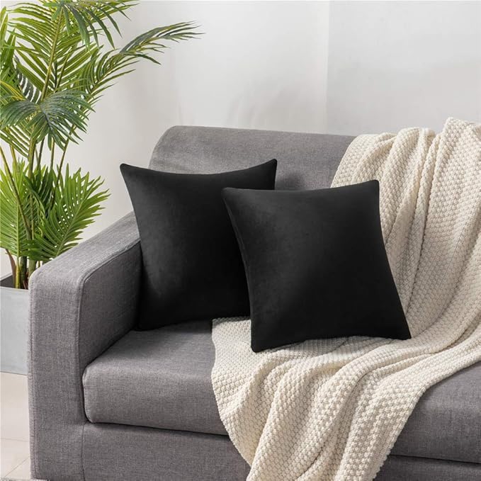 Decorative Pillow Covers 20x20 Black: 2 Pack Cozy Soft Velvet Square Throw Pillow Cases for Farmhouse Home Decor