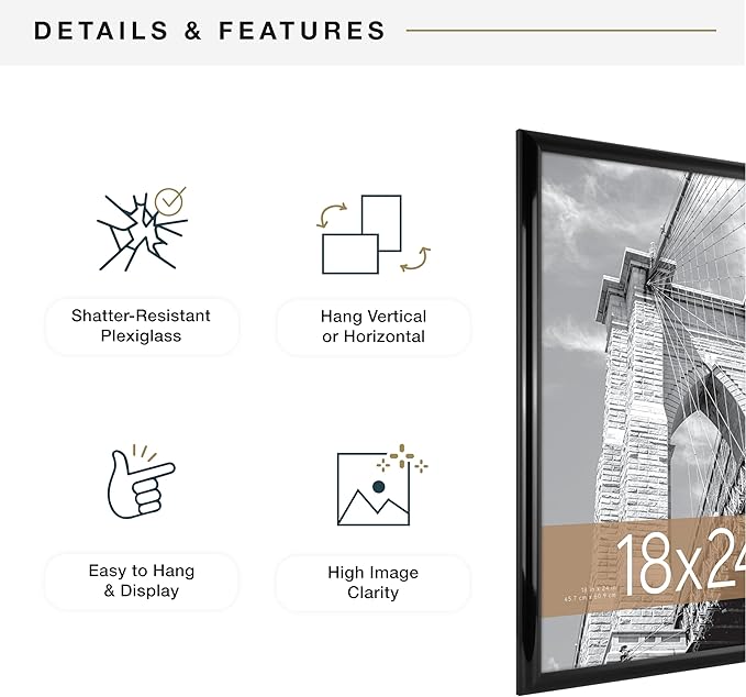 MCS Trendsetter 18x24 Poster Frame Black High-Gloss, Vertical & Horizontal Wall Hanging Large Picture Frame for Photos, Posters & Art Prints (1-Pack)