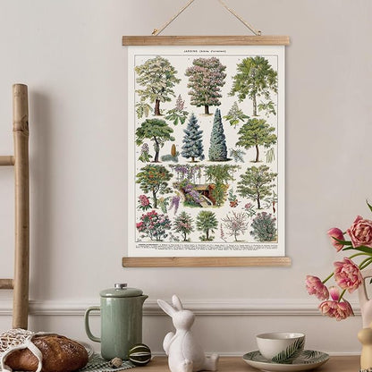 XIAOAIKA Vintage Tree and Shrub Poster - Botanical Educational Retro Wall Art with Wooden Frame for Gardening Enthusiasts and Landscape Designers 20 x 30 Inches