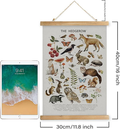 XIAOAIKA British Hedgerow Wildlife Educational Poster - Illustrated Nature Chart with Wooden Frame - Countryside Animals and Plants Wall Art for Home, School, or Nature Reserve Decor 12 x 16 Inches