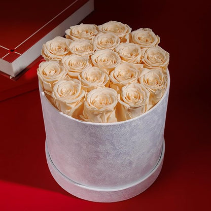 17 Flowers in a Luxury Suede Box, Birthday Gifts for Women, Preserved Flowers, Mothers Day Roses Gift for Mom, Champagne