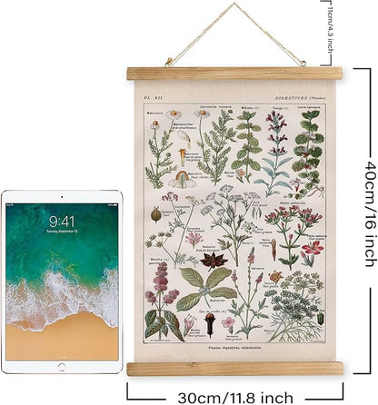 XIAOAIKA Vintage Botanical Herbs Illustration Poster - Retro Medicinal Plant Chart with Wooden Frame - Educational Herbal Reference for Home, Kitchen, or Classroom Decor 12 x 16 Inches