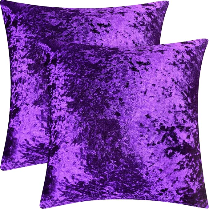 2 Pack 18x18 Pillow Cover Velvet Pillow Covers, Square Throw Pillow Covers for Living Room Decorations Throw Pillow Case, Throw Pillow Cover Cushion Cover for Home Sofa Bedroom Car, Purple