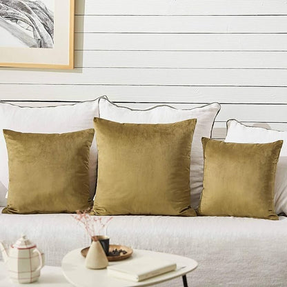 FY FIBER HOUSE Pack of 2 Velvet Throw Pillow Covers Decorative Square Pillowcase Soft Solid Cushion Case for Sofa/Couch Use, 20 x 20 Inch Coffee