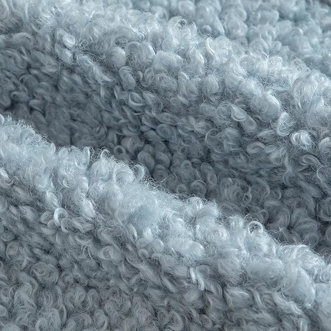 Yaertun Pack of 2 Faux Fur Throw Pillow Covers Decorative Sherpa Boucle Pillow Covers Fuzzy Soft Pillowcases Sheepskin Fleece Cushion Case for Couch Sofa Bed Living Room 24x24 Inch Light Blue