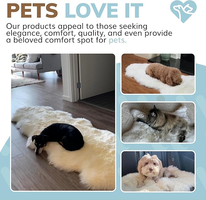 WaySoft New Zealand Sheepskin Area Rug – Genuine Fluffy Wool, Multiple Sizes, Bedroom or Living Room Decor(2ft x 6ft,Grey Beige)