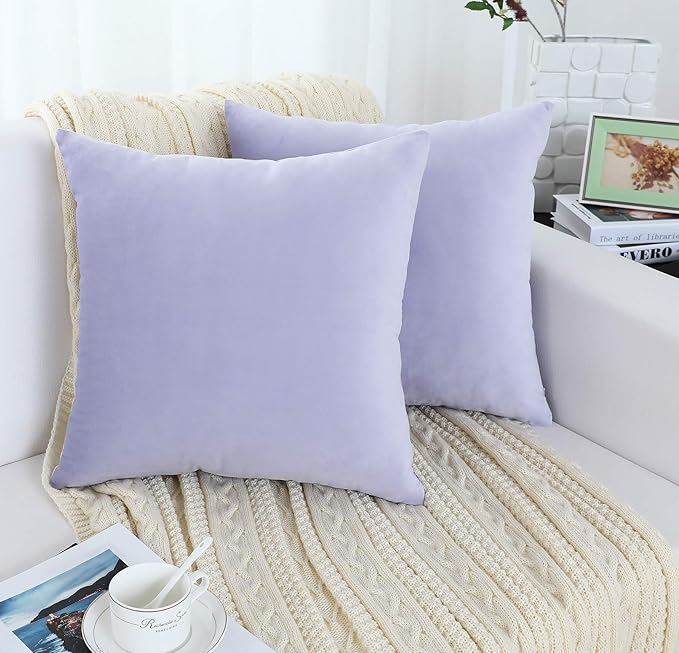 Jeneoo Set of 2 Comfy Soft Velvet Throw Pillow Covers Decorative Solid Square Couch Cushion Cases for Bedroom Sofa Decor (16 x 16 Inches,Lavender Blue)