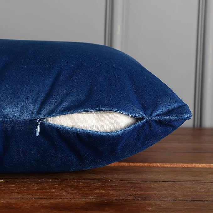 RELY+ Pack of 2 Throw Pillow Covers 16x16 Inch Velvet Soft Cozy Solid Decoration Gifts Pillow Covers Luxury Cushion Case for Sofa Couch Bedroom Living Room (Blue, 18 X 18)