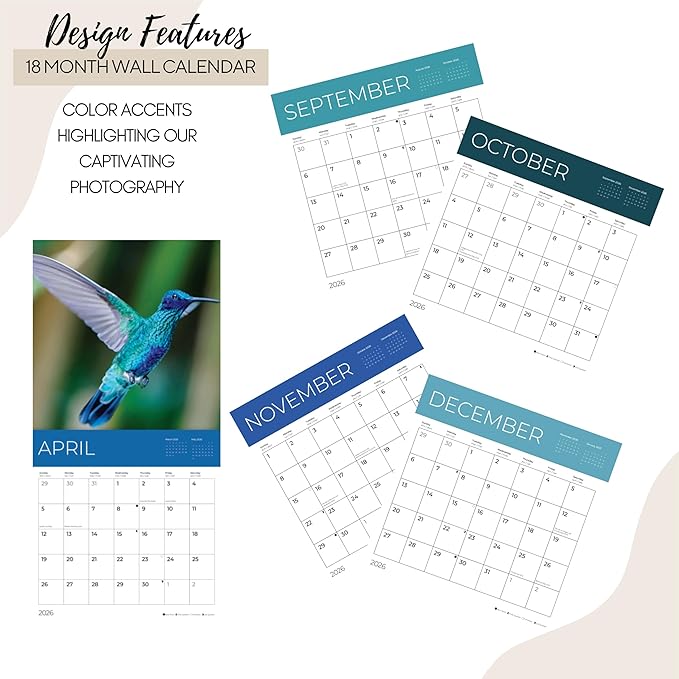Hummingbirds Wall Calendar 2026 | 12" x 24" Open | Giftable Nature Calendar 2026 | Thick & Sturdy Paper for Organizing & Planning | Pacific Waters Press (Hummingbirds)
