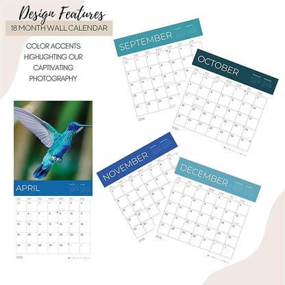 Hummingbirds Wall Calendar 2026 | 12" x 24" Open | Giftable Nature Calendar 2026 | Thick & Sturdy Paper for Organizing & Planning | Pacific Waters Press (Hummingbirds)