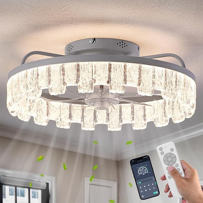 Rustic Silver Caged Ceiling Fan with Light, Personalized Fashion Ceiling Fan Remote Control with Acrylic, LED Low Profile Ceiling Light for Bedroom Kitchen Living Room