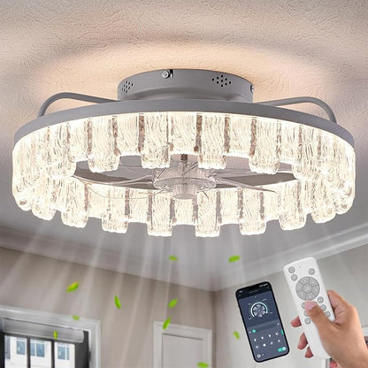 Rustic Silver Caged Ceiling Fan with Light, Personalized Fashion Ceiling Fan Remote Control with Acrylic, LED Low Profile Ceiling Light for Bedroom Kitchen Living Room