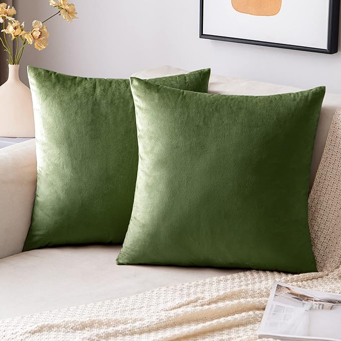 EMEMA Pack of 2 Velvet Throw Pillow Covers Decorative Square Pillowcase Soft Solid Cushion Case for Sofa Bedroom Chair Car 24x24 Inch Moss Green