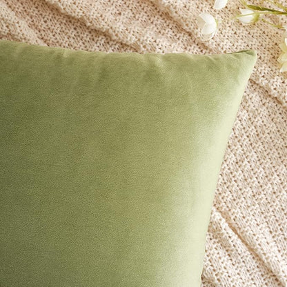 EMEMA Pack of 2 Velvet Pillow Covers Decorative Square Pillowcase Soft Solid Cushion Case for Sofa Bedroom Car 18x18 Inch Sage Green