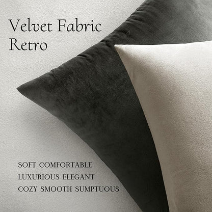 MIULEE Velvet Throw Pillow Covers 14x14 Inch, Pack of 2 - Cream White, Soft Solid Small Decorative Pillow Covers Modern Luxury Home Decor for Spring Couch Sofa Bedroom Livingroom