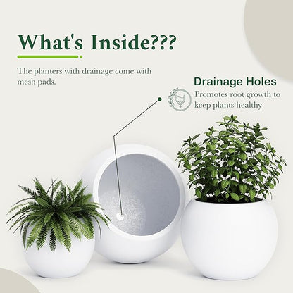 DTY Signature Mount Sherman Modern Indoor Outdoor Fiberstone Sphere Planter, Durable Round Garden Pot, Weather Resistant, Drainage Hole & Rubber Plug - Small, White