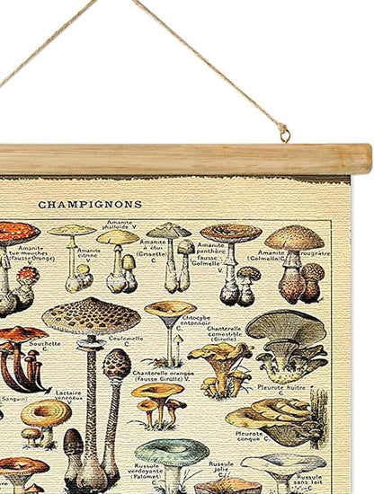 ABoby Vintage Hanging Posters, Decorative Mushroom Wall Art Prints, Printed on Linen with Wood Frames, Ready to Hang