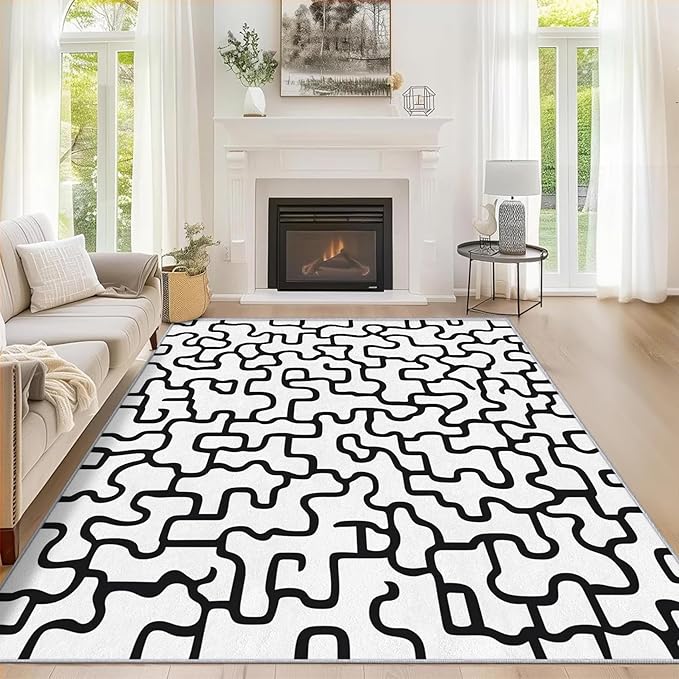 Abstract Geometric Rugs for Home Decor, 3x4 ft, Black and White Labyrinth Area Rugs for Living Room, Soft Non Slip Washable Modern Abstract Line Carpet Bedroom Decorations Dt-Ghf-31