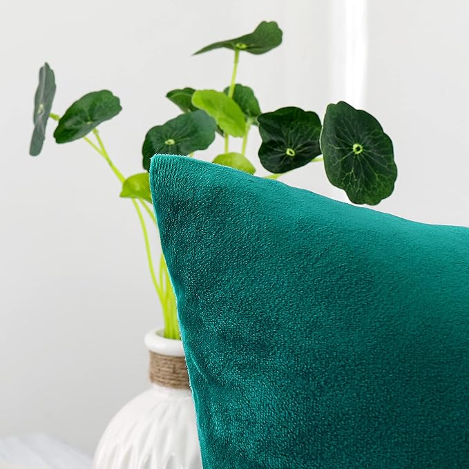 NiNi ALL Decorative Throw Pillow Covers Velvet Soft for Couch Sofa Bedroom Living Room Outdoor Pack of 2 20x20 Inch Teal