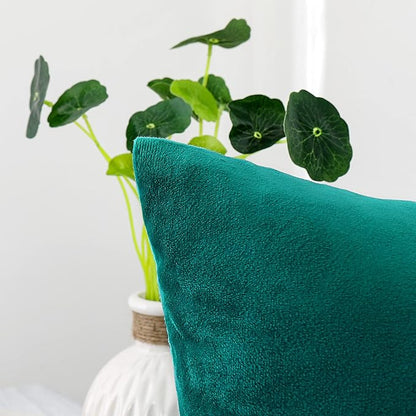 NiNi ALL Decorative Teal Throw Pillow Covers Pack of 2 Velvet 12x12 Inch Throw Pillow Cases for Couch Pillows Cover Bedroom Living Room Outdoor Pillows Cover