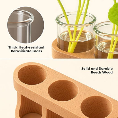 Plant Propagation Station with LED Light – Glass Test Tube Vases & Beech Wood Desk Decor, Wooden Stand Terrarium for Indoor Home Office, Plant Gifts for Women Plant Lovers